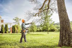 Best Lawn Grading and Leveling  in Harbison Nyon, CA